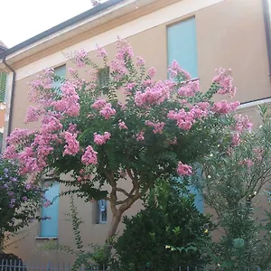 Accorsi Bolonia